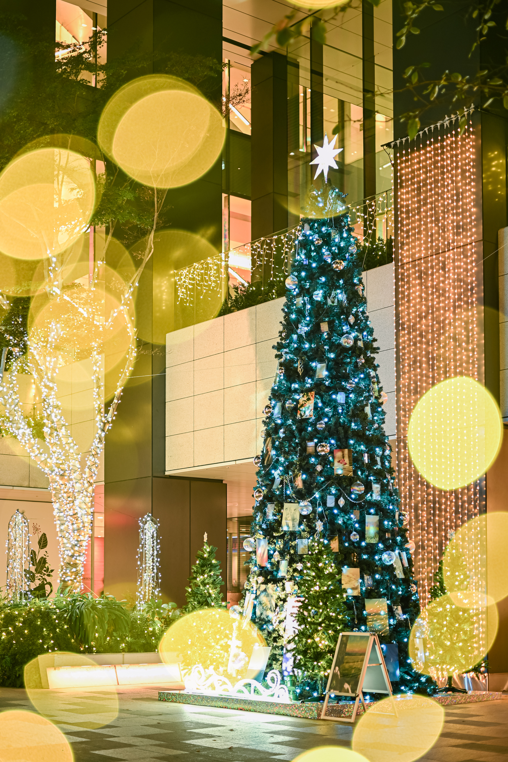 クリスマスツリー　約2m イルミネーション クリスマスツリー2025 – 東京ガーデンテラス紀尾井町 - Tokyo Garden