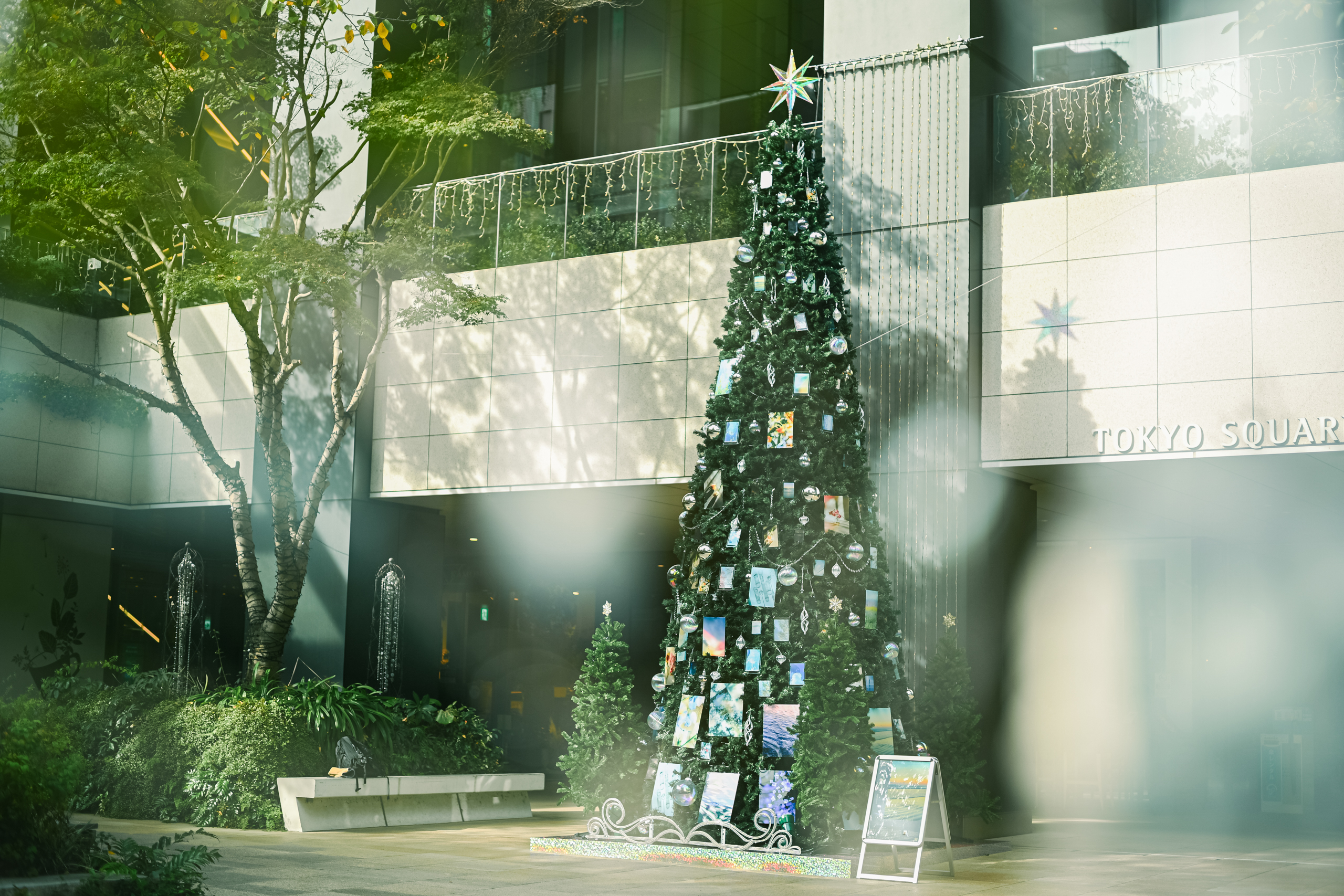 11月6日（木）～12月25日（木）｜ アーティストコラボXmasツリー「When