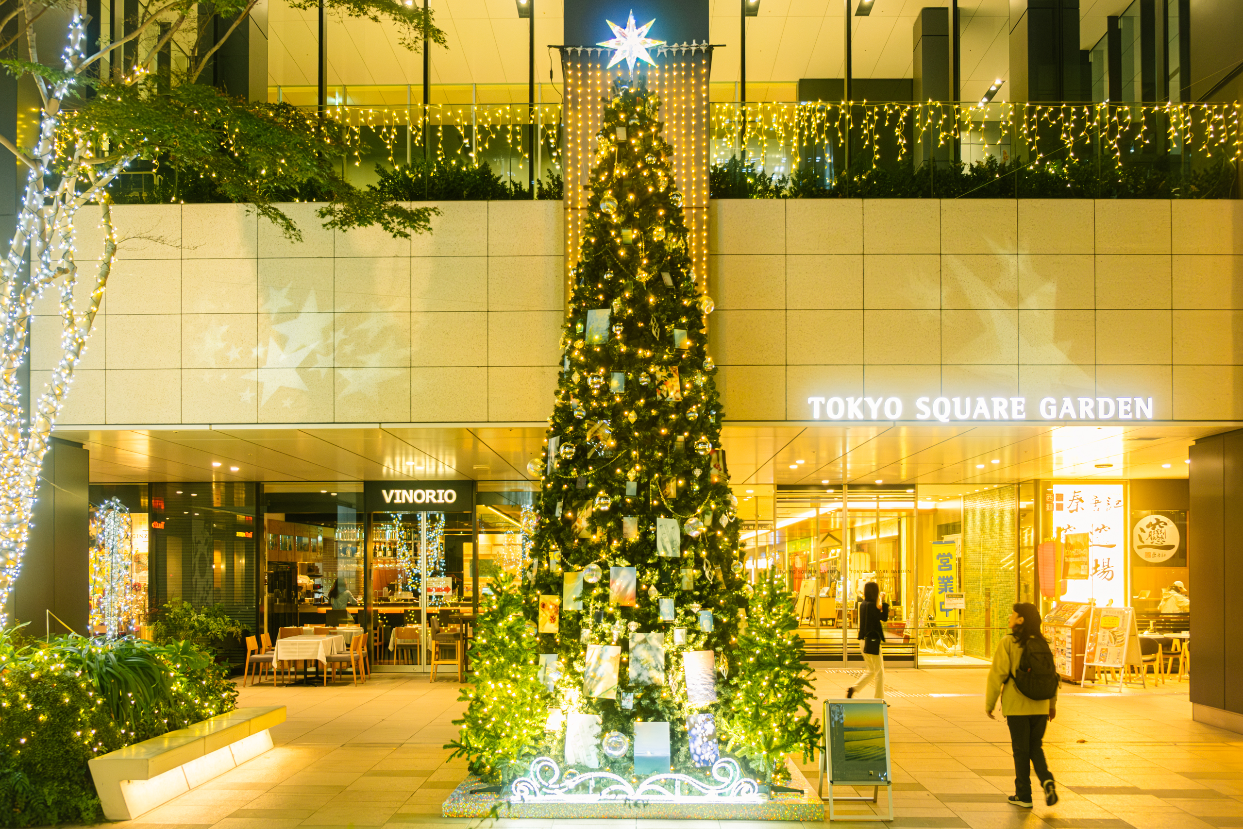 11月6日（木）～12月25日（木）｜ アーティストコラボXmasツリー「When